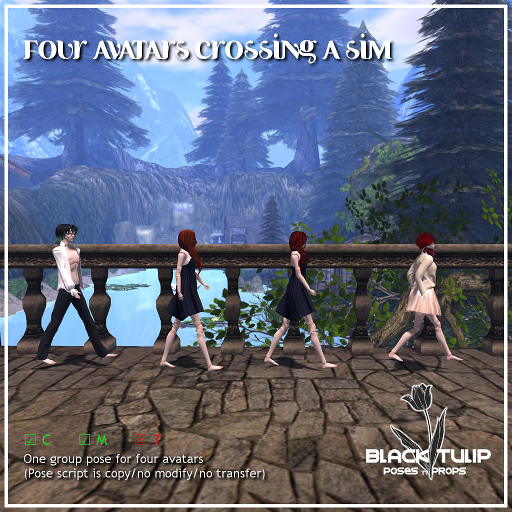 [Black Tulip] Poses - Four avatars crossing a sim (ad)
